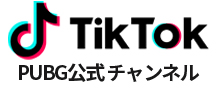 tiktok client-image